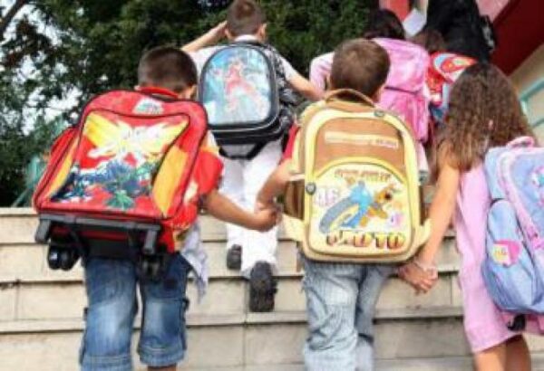 Φωτίζοντας σκιές των Παιδαγωγικών συνεδριάσεων (του Ν. Τσούλια)