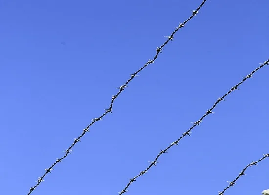 Από το Ειδικό Κατάστημα Κράτησης Νέων Αυλώνα…στα αμφιθέατρα των Πανεπιστημίων