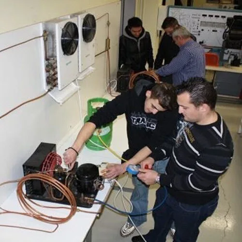 Οι τομείς και οι ειδικότητες των ΕΠΑΛ