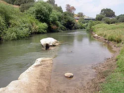 Πρωτοπρ. Άγγελος Αγγελακόπουλος, Κυριακή μετά τα Φώτα