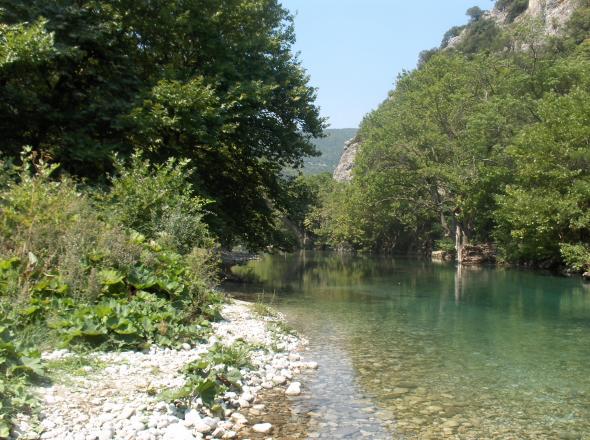 Σε τραγωδία παραλίγο να καταλήξει η εκδρομή ενός δημοτικού σχολείου από την Αθήνα