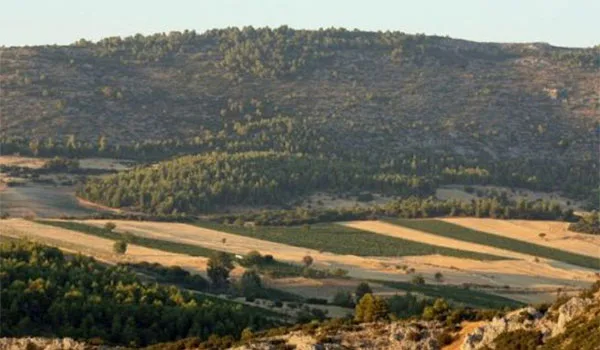 Οικόπεδα: Οnline αναζήτηση και δασικοί χάρτες -Τί πρέπει να κάνετε