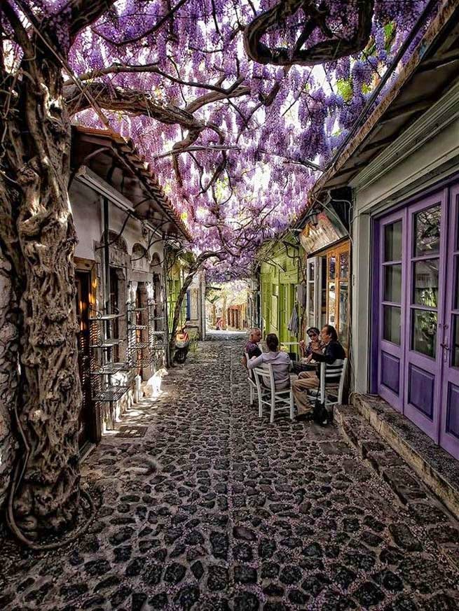 Στη Λέσβο, ο πιο όμορφος δρόμος του κόσμου