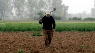 Πληρωμές ΟΠΕΚΕΠΕ και ΕΛΓΑ – Ποιές έγιναν, ποιές ακολουθούν