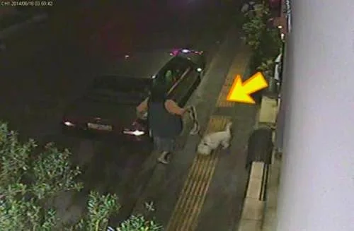 Βίντεο ΝΤΟΚΟΥΜΕΝΤΟ για γερά νεύρα: Γυναίκα εγκαταλείπει το σκυλάκι της στη Νίκαια – Χτυπιέται μάταια το άμοιρο για να μπει στο αμάξι [video]