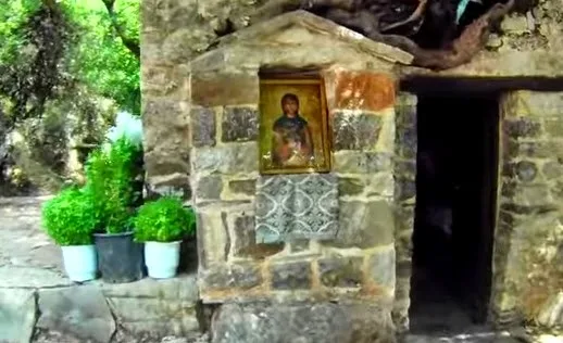 Το ανεξήγητο φαινόμενο με τα δένδρα στη σκεπή της Αγίας Θεοδώρας