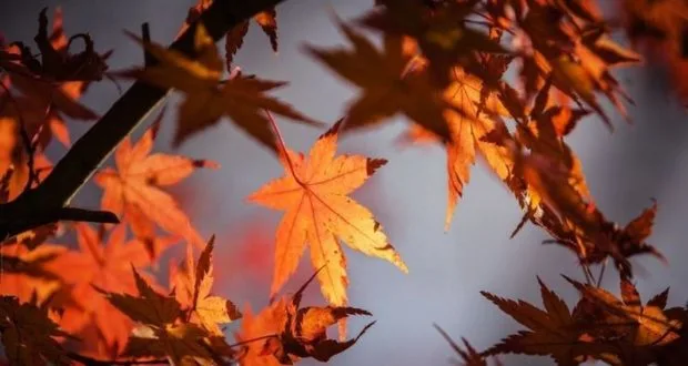 Και τυπικά φθινόπωρο από τα χαράματα Κυριακής