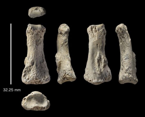 Ανακαλύφθηκε στη Σ. Αραβία απολίθωμα του Homo sapiens 90.000 ετών, το παλαιότερο εκτός Αφρικής και ανατολικής Μεσογείου