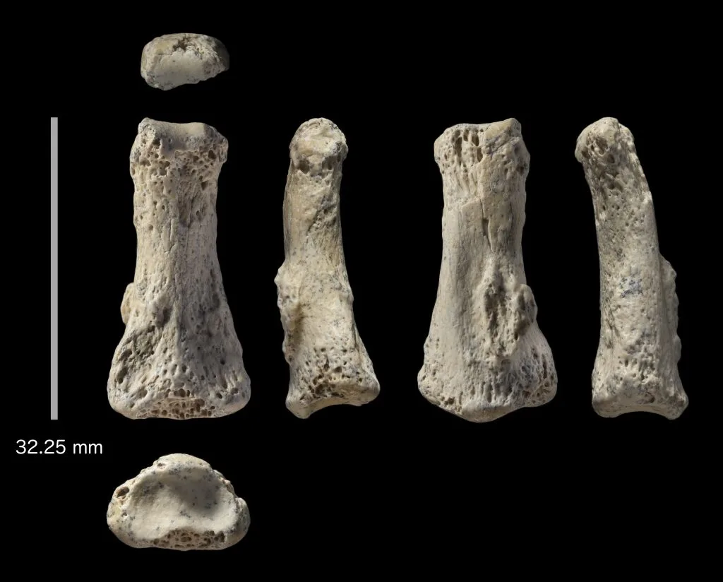 Ανακαλύφθηκε στη Σ. Αραβία απολίθωμα του Homo sapiens 90.000 ετών, το παλαιότερο εκτός Αφρικής και ανατολικής Μεσογείου