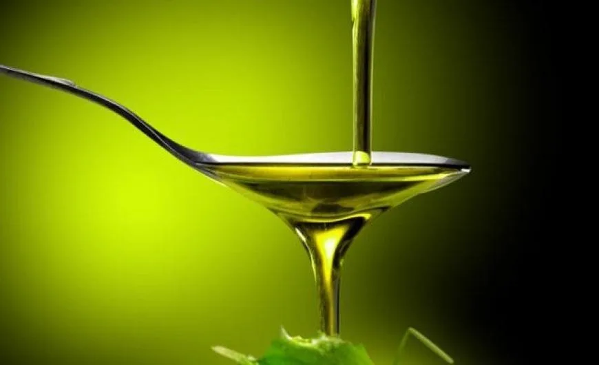 Εκπέμπουν SOS oι ελαιοπαραγωγοί λόγω ανομβρίας – Αναγκαία η στήριξη