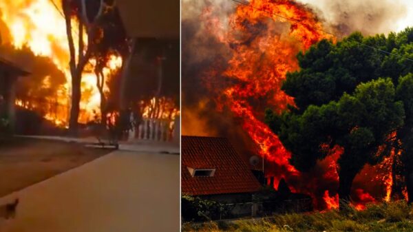 ΓΓΠΠ: Προσβάσιμη η λίστα με τα ονόματα των 92 θυμάτων