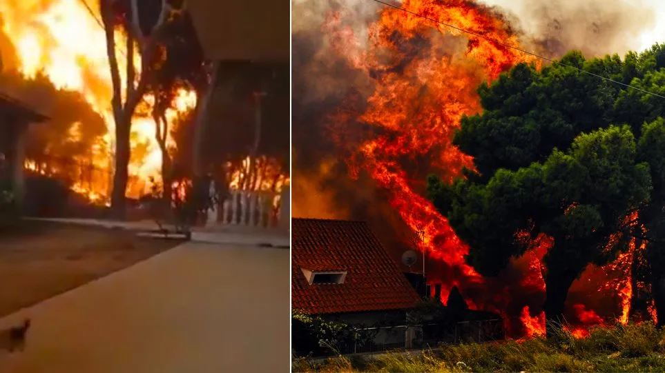 ΓΓΠΠ: Προσβάσιμη η λίστα με τα ονόματα των 92 θυμάτων