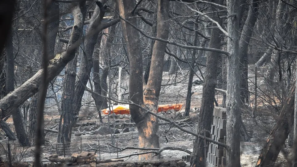 Προσοχή από παιδιάτρους για τις πυρόπληκτες περιοχές: Τι πρέπει να προσέξουν όσοι έχουν παιδιά