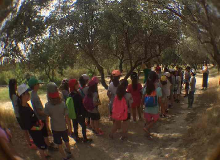 Θερινό σχολείο στο πάρκο Αντώνης Τρίτσης για τα παιδιά που δεν θα πάνε διακοπές