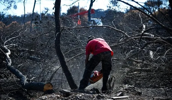 Σε 3.957 οι αιτήσεις πυρόπληκτων για το επίδομα
