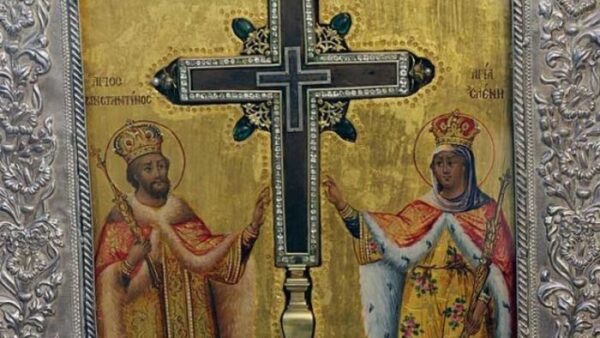 Τίμιο Ξύλο: Πόσο υπάρχει και που ανά τον κόσμο