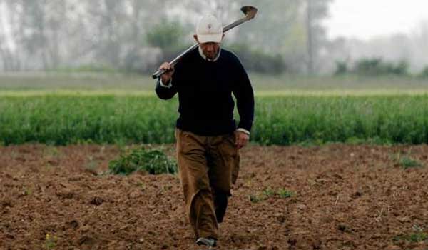 ΟΠΕΚΕΠΕ: Πιστώθηκε στους δικαιούχους το 70% της ενίσχυσης