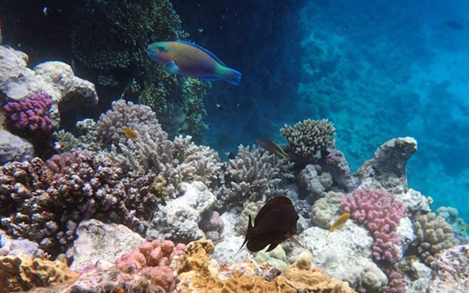Έλληνας επιστήμονας αποκαλύπτει τα «μυστικά» των ωκεανών κάνοντας τον πλανήτη πιο ασφαλή