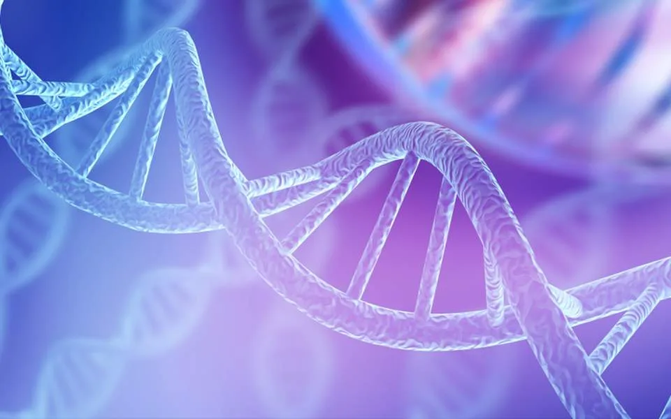 Το DNA φωτίζει τις γενετικές ομοιότητες των πληθυσμών του Αιγαίου στην εποχή του Χαλκού