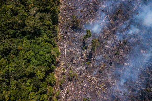 Ο πρόεδρος της Βραζιλίας κατηγορεί τις ΜΚΟ ότι καίνε τον Αμαζόνιο