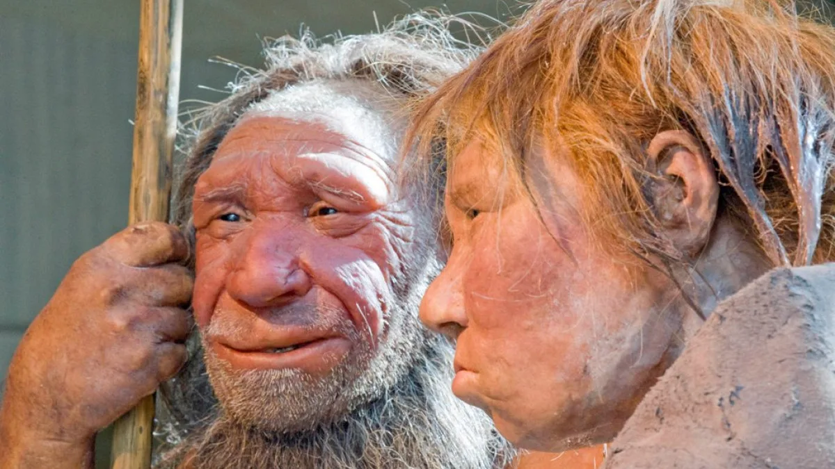 Νεάτερνταλ: Τους εξαφάνισαν οι Homo sapiens ή η κακή τους τυχη;