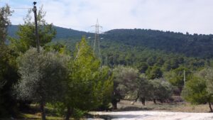 Tο σχέδιο για την αναγέννηση και προστασία του Υμηττού