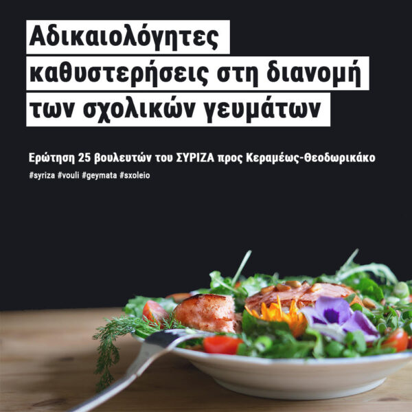 «Αδικαιολόγητες καθυστερήσεις στη διανομή σχολικών γευμάτων»