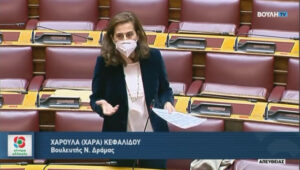 Κεφαλίδου: Κραυγή αγωνίας των Ελλήνων φοιτητών στη Ρωσία
