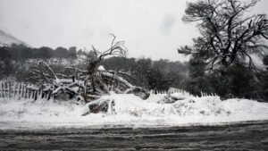Κακοκαιρία «Μήδεια»: Κλείνει η Αθηνών – Λαμίας για 24 ώρες
