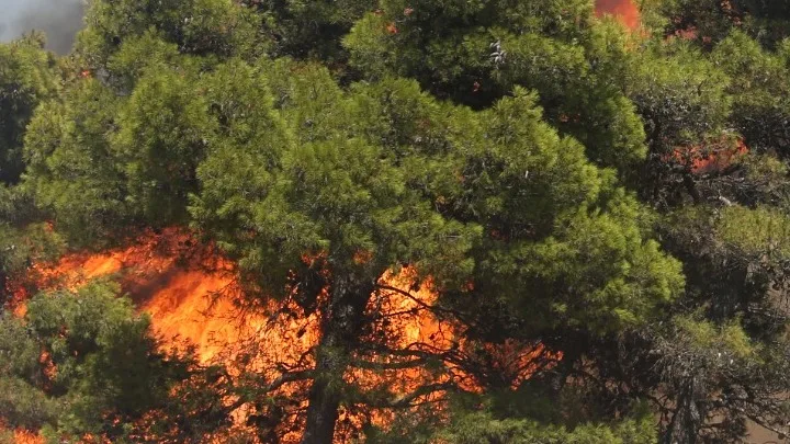Φωτιά: Μεγάλη αναζωπύρωση στην Κερατέα