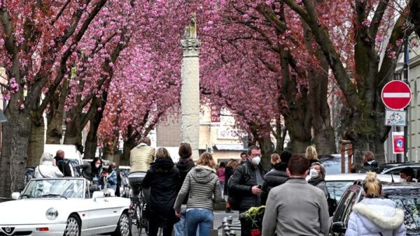 Έρευνα: Μέχρι πόσους βαθμούς μπορούν να δροσίσουν τα δέντρα τις ευρωπαϊκές πόλεις