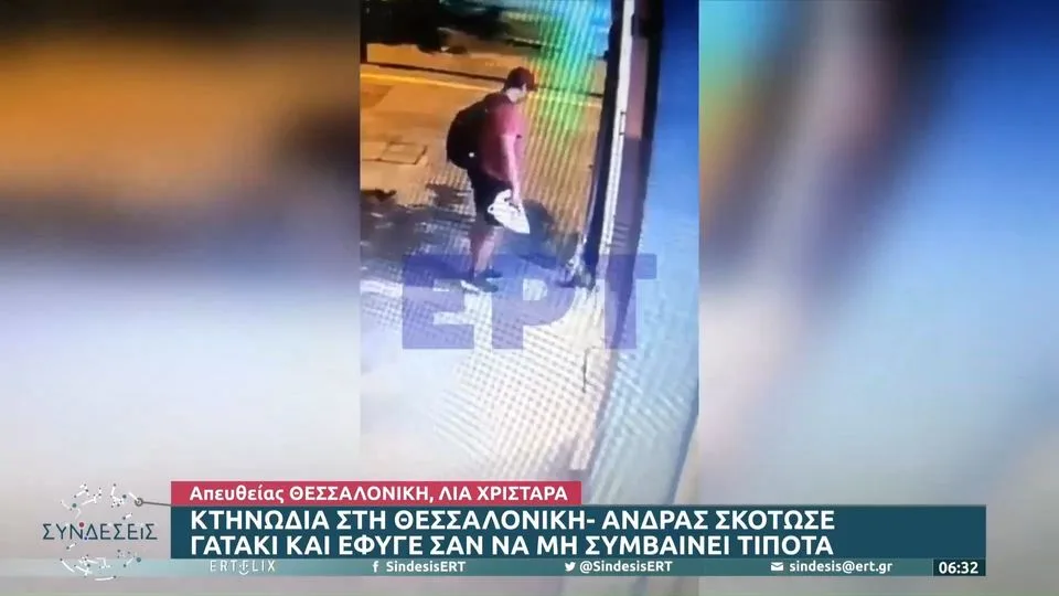Κτηνωδία: Άνδρας στη Θεσσαλονίκη πατάει και σκοτώνει γατάκι – Το βίντεο που προκαλεί οργή