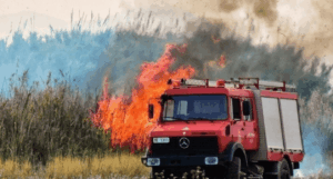 Συναγερμός με φωτιά στα Σπάτα – Είναι κοντά στο αεροδρόμιο