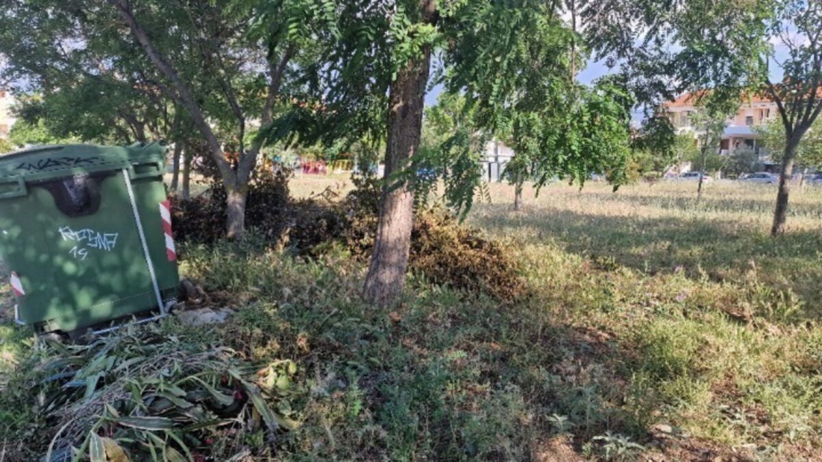 Ακαθάριστα οικόπεδα: ΟΛΑ όσα ισχύουν με πρόστιμα, ποινές και ψευδείς δηλώσεις
