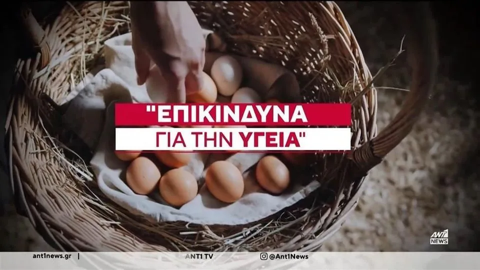 ΤΕΡΑΣΤΙΑ ανησυχία για ελληνικά αυγά: Εντοπίστηκαν με τοξικές ουσίες και φυτοφάρμακα